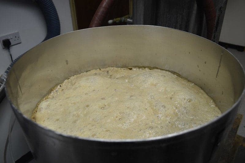 beer during fermentation