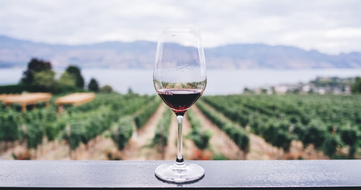 6 Reasons Why Homebrewing Wine Is Better Than Store-Bought