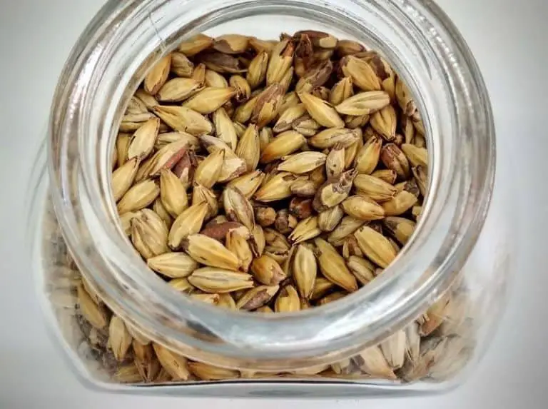 All About The Fermentation Process - MalteD Barley Contains Enzymes That Convert Starch Into Sugar That Can Be ConverteD Into Ethanol By The Yeast 768x573