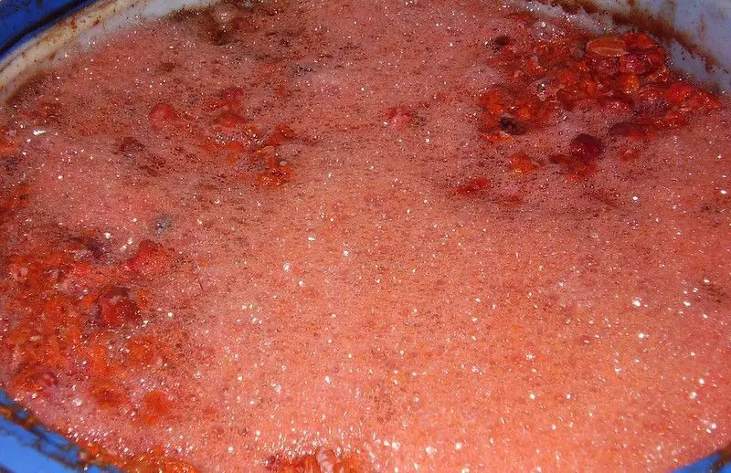 Rakjia production - fermenting plums