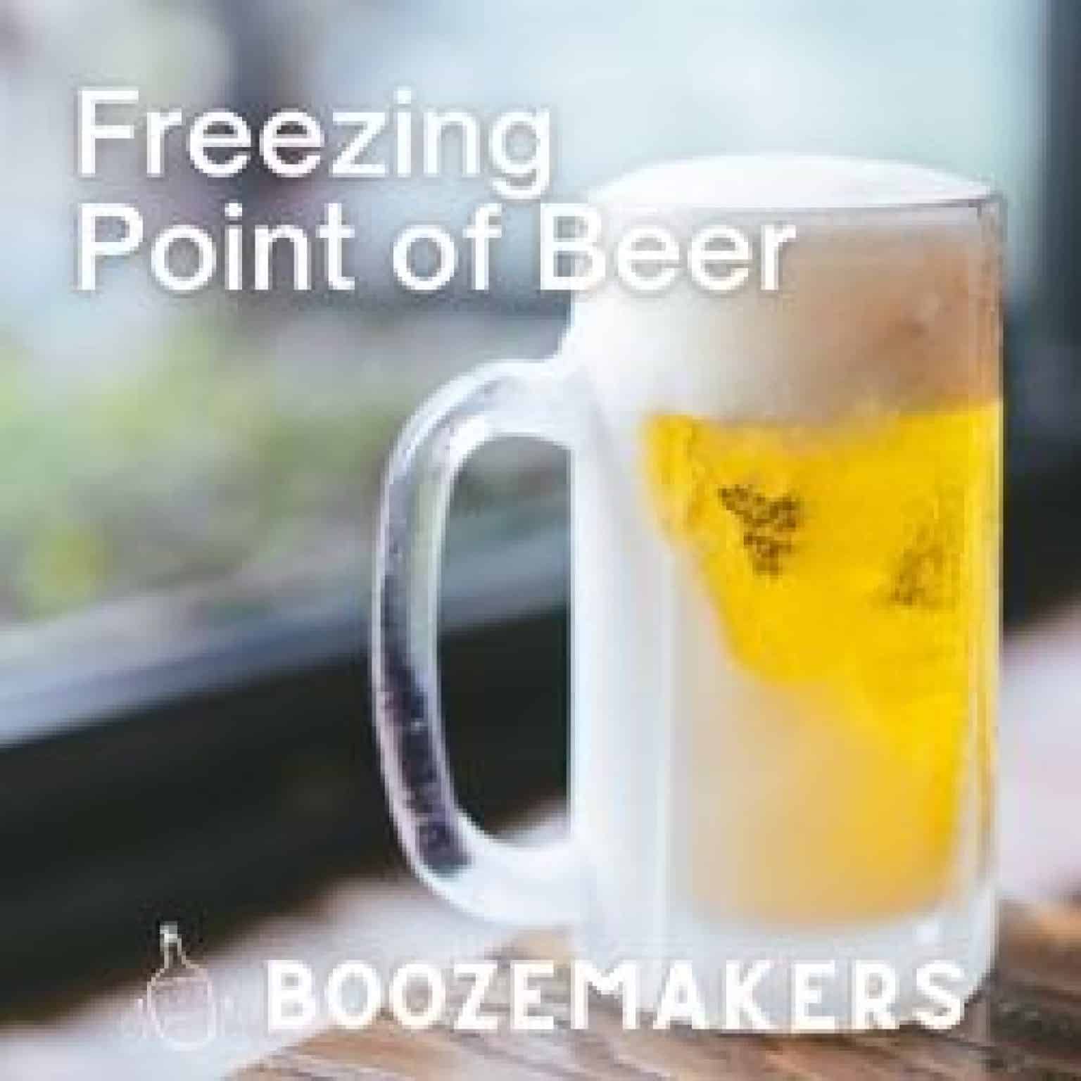 The Freezing Point of Alcoholic Drinks BoozeMakers