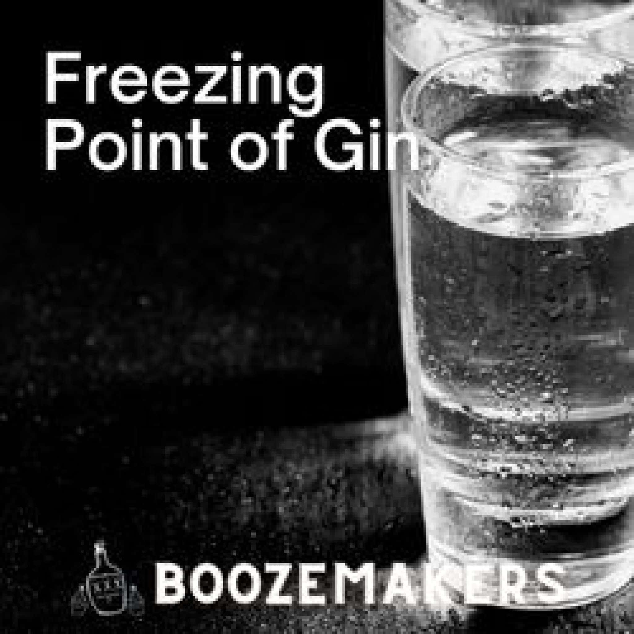 The Freezing Point of Alcoholic Drinks BoozeMakers