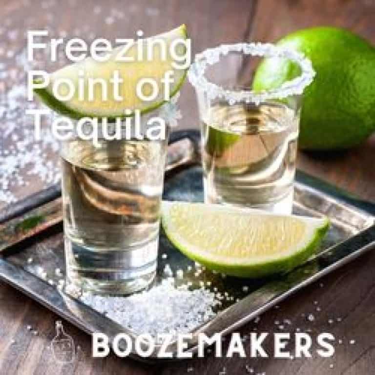 The Freezing Point of Alcoholic Drinks BoozeMakers