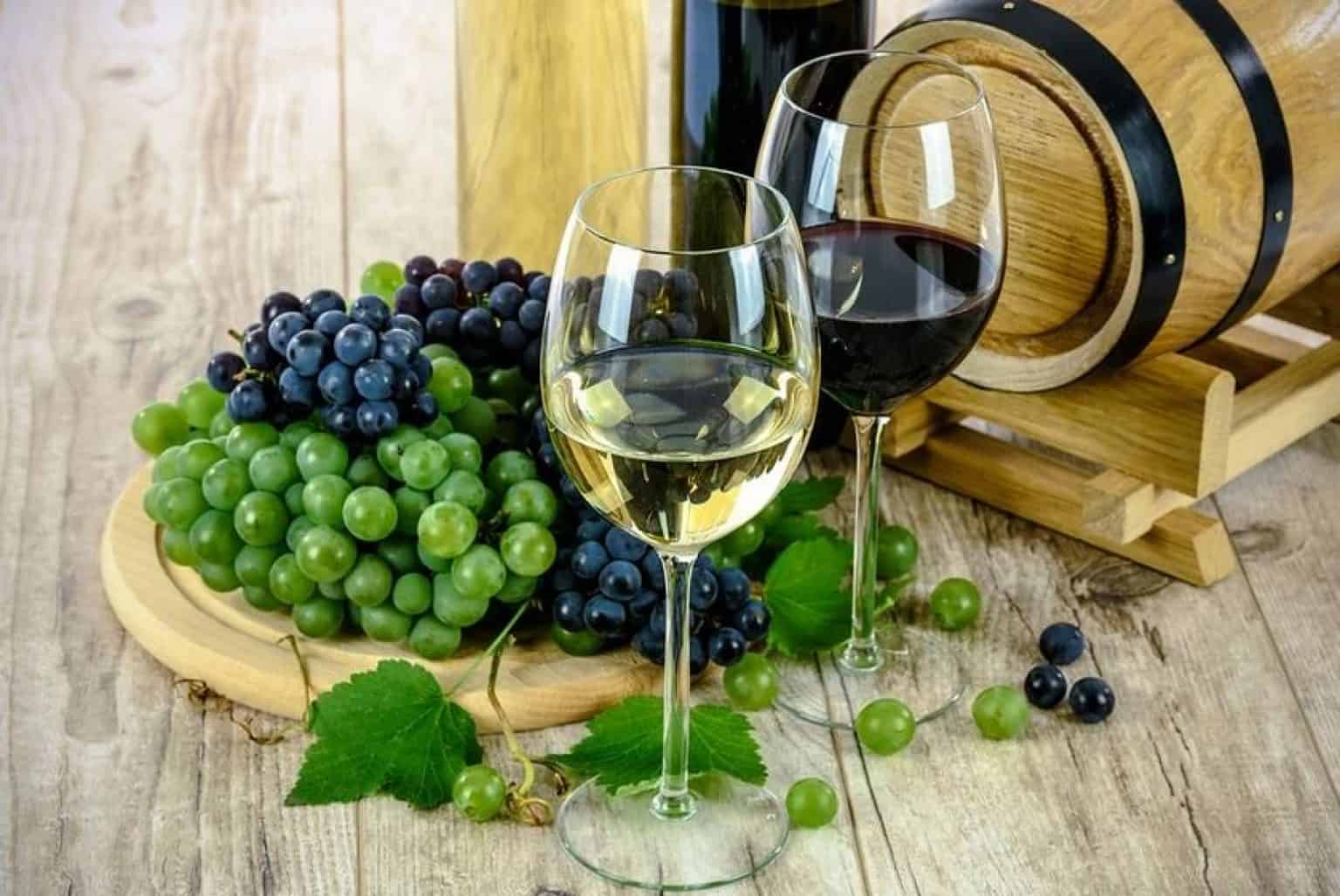 3 Homebrew Recipes for Beginners BoozeMakers