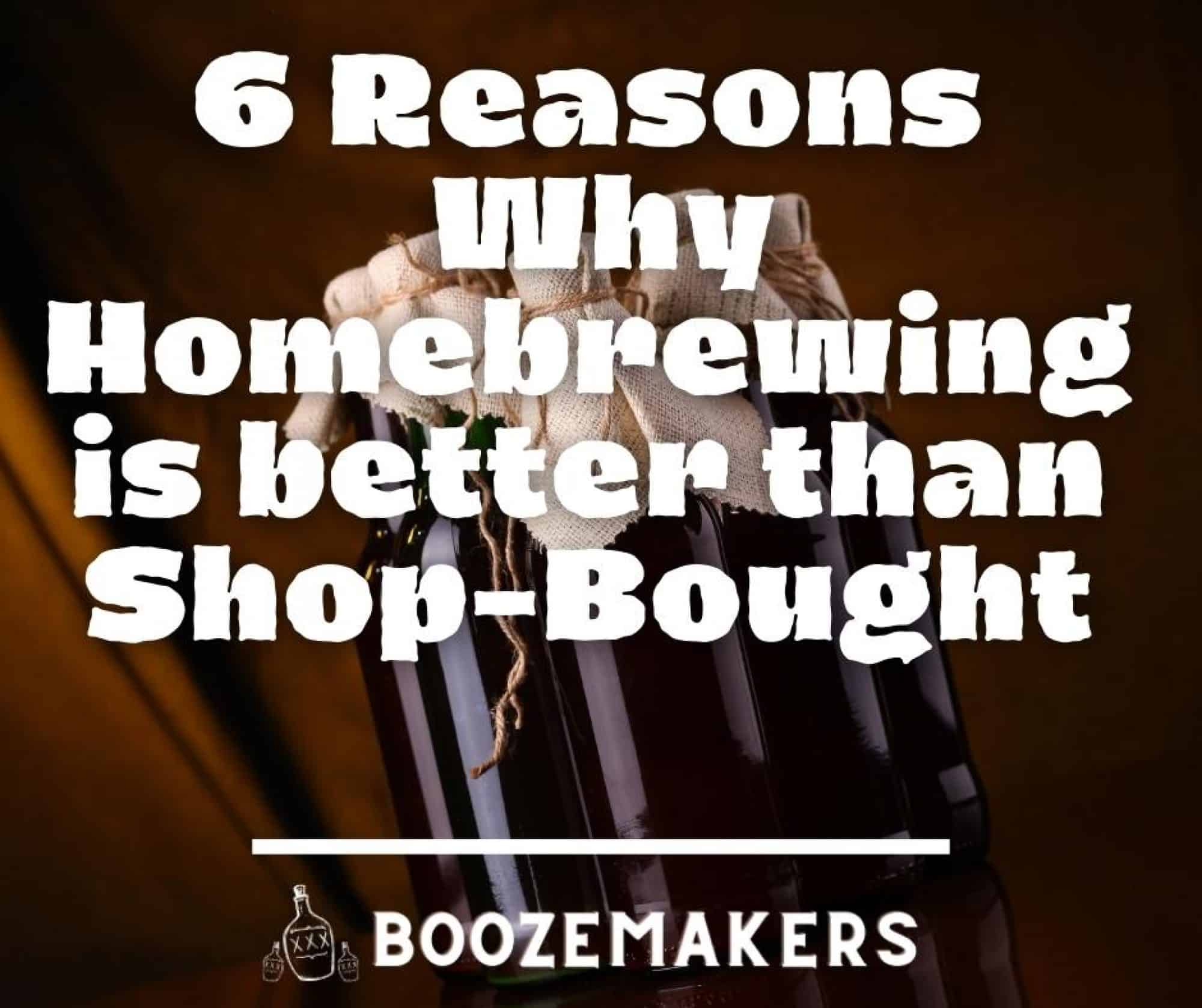 🍷 6 Reasons Why Homebrewing Wine Is Better Than StoreBought BoozeMakers