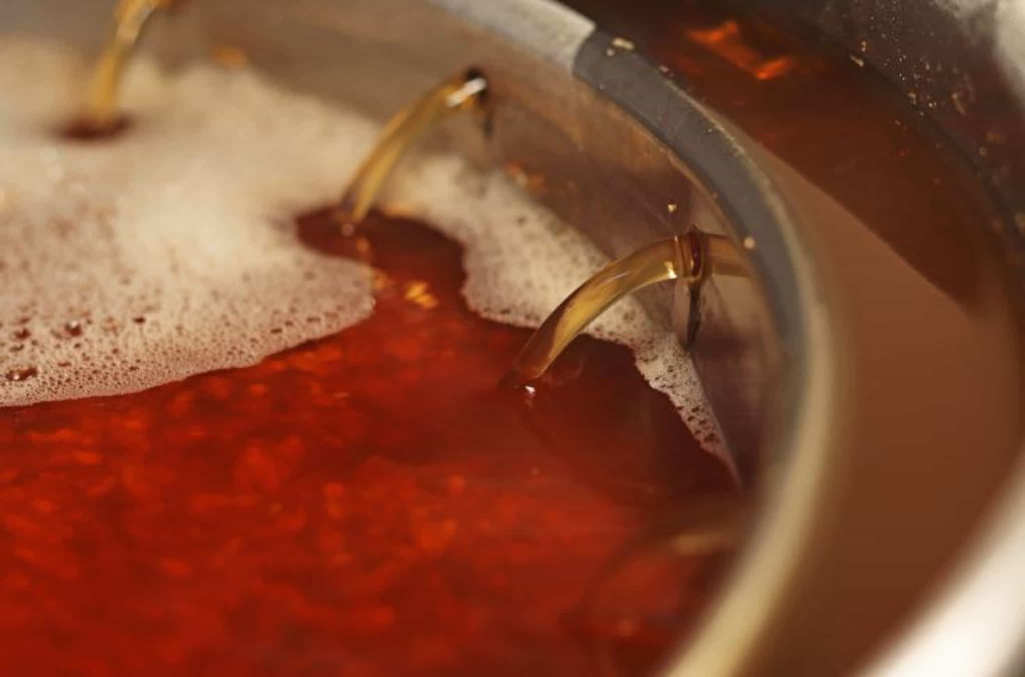 🍺 How Strong Is The Smell Of Homebrewing? BoozeMakers