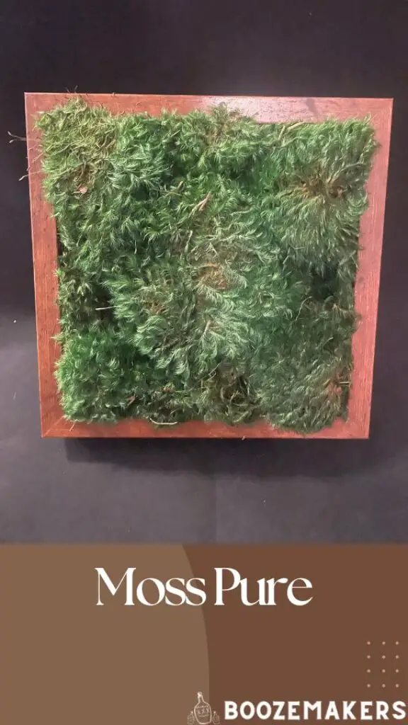Moss pure
