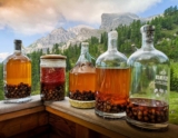 ???? U.S. Home Distilling Laws by State